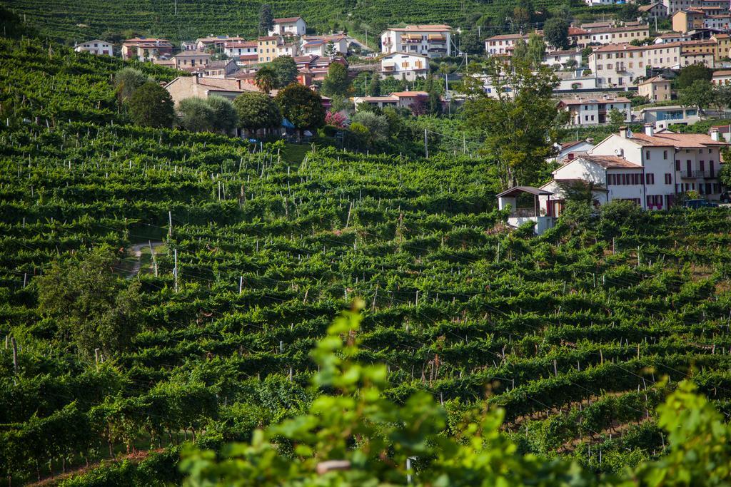 Agriturismo Due Carpini Villa Valdobbiadene Exteriör bild